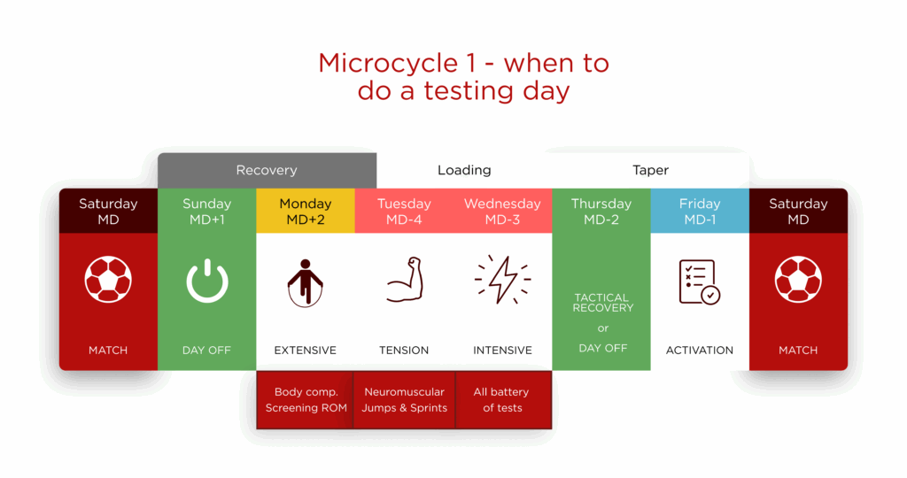 preseason microcycle
