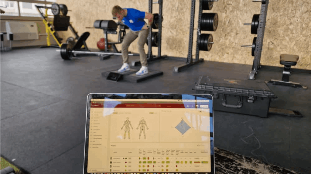 quadrant model comparing